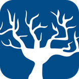 Melanion icon